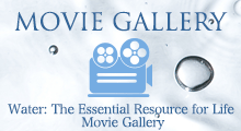Movie Gallery