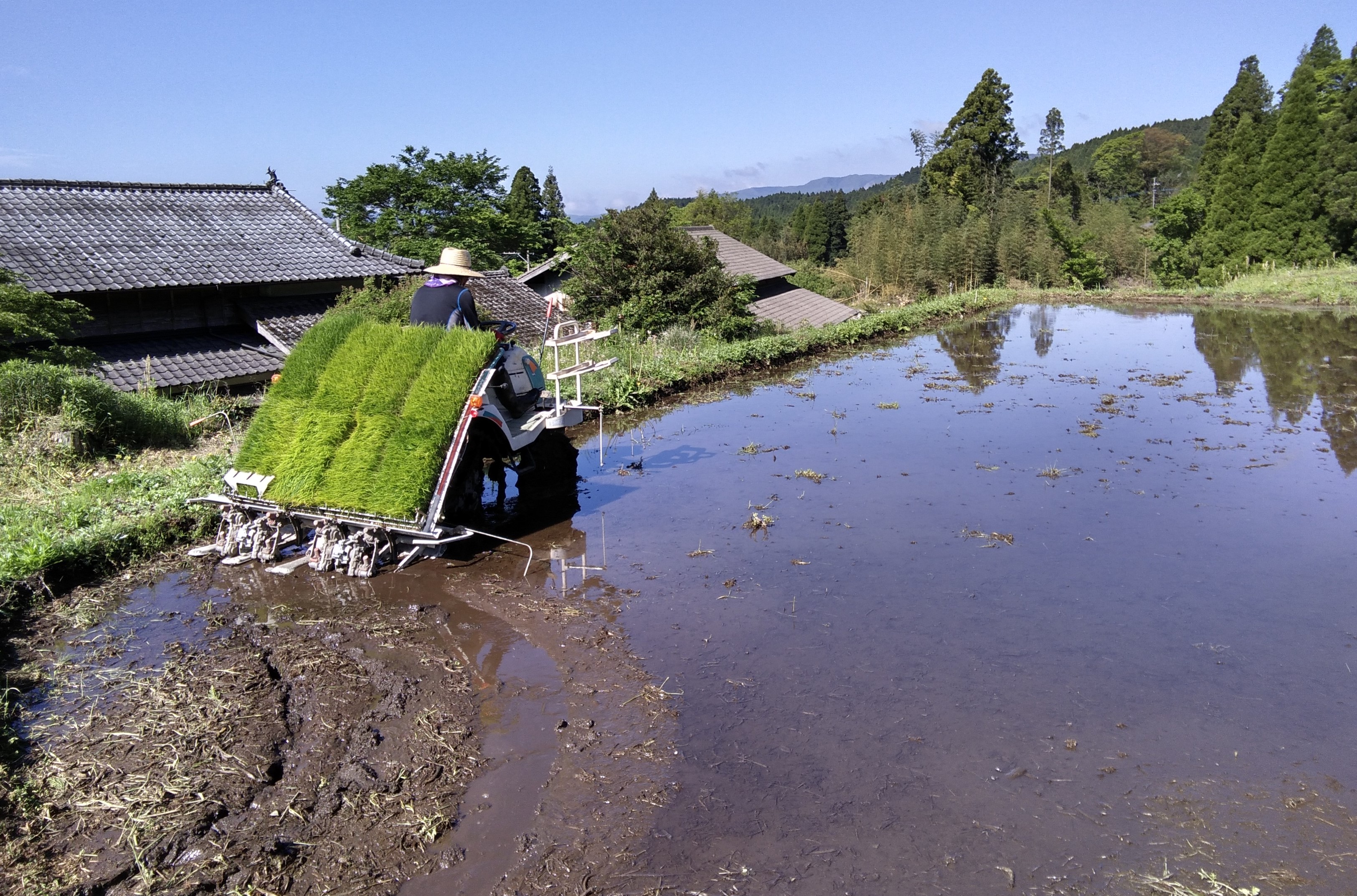 阿蘇事業部の活動シリーズ 田植え機による機械植え 公益財団法人 肥後の水とみどりの愛護基金